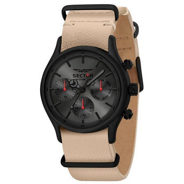 Sector 660 Gun/Sunray Dial Leather Strap Quartz R3251517006 Men's Watch