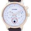 Citizen Eco-Drive Moon Phase Japan Made AP1052-00A Men's Watch