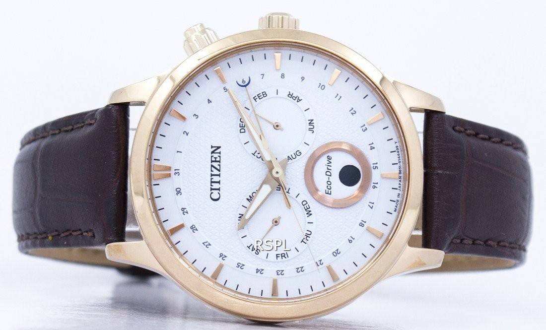 Citizen Eco-Drive Moon Phase Japan Made AP1052-00A Men's Watch ...